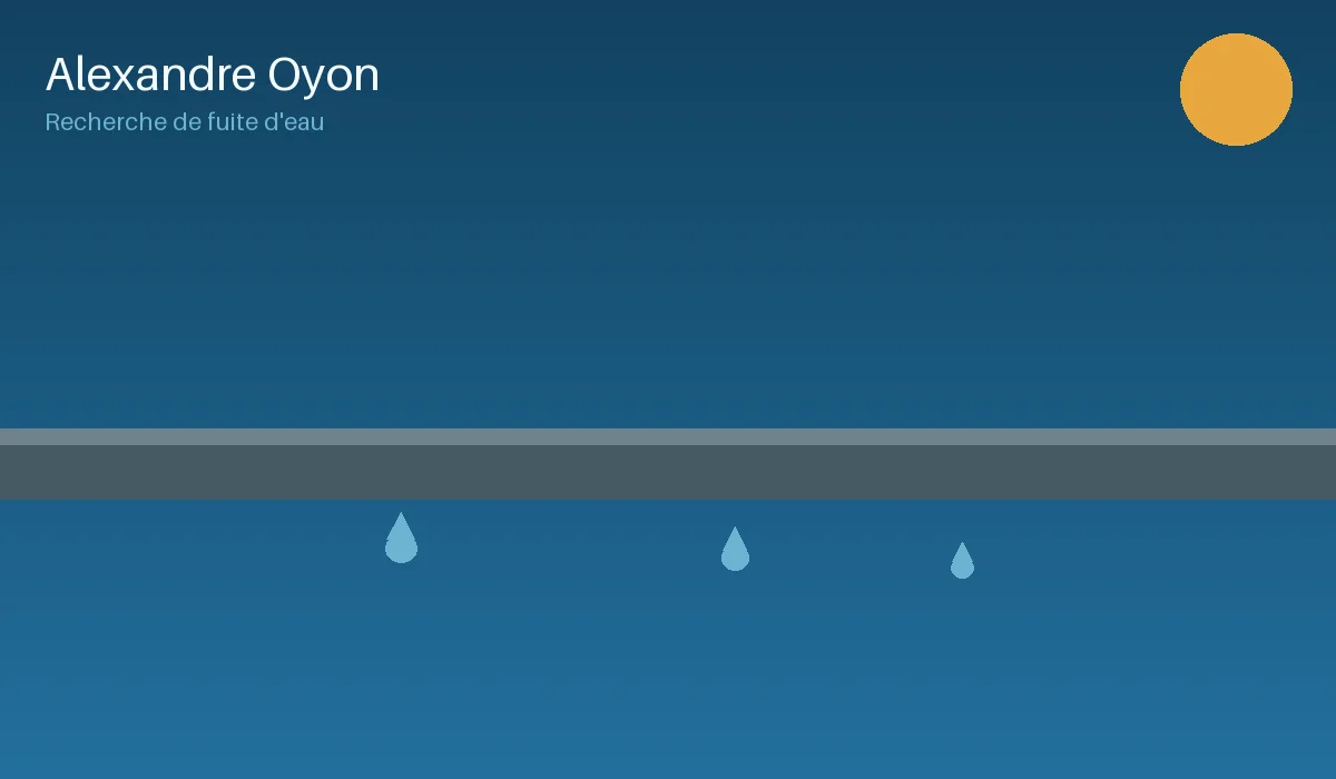 Illustration d'une intervention de recherche de fuite d'eau sur canalisation, service Alexandre Oyon
